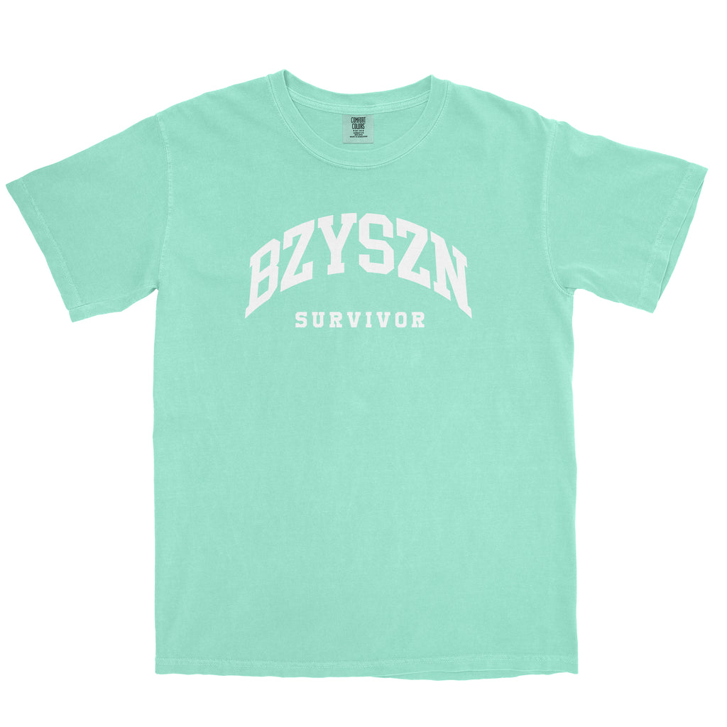 【SATIIIZ】Fitz Band Printed Short Sleeve T-Shirt BZY SZN Survivor Garment-Dyed Tee | Funny Accounting Gifts