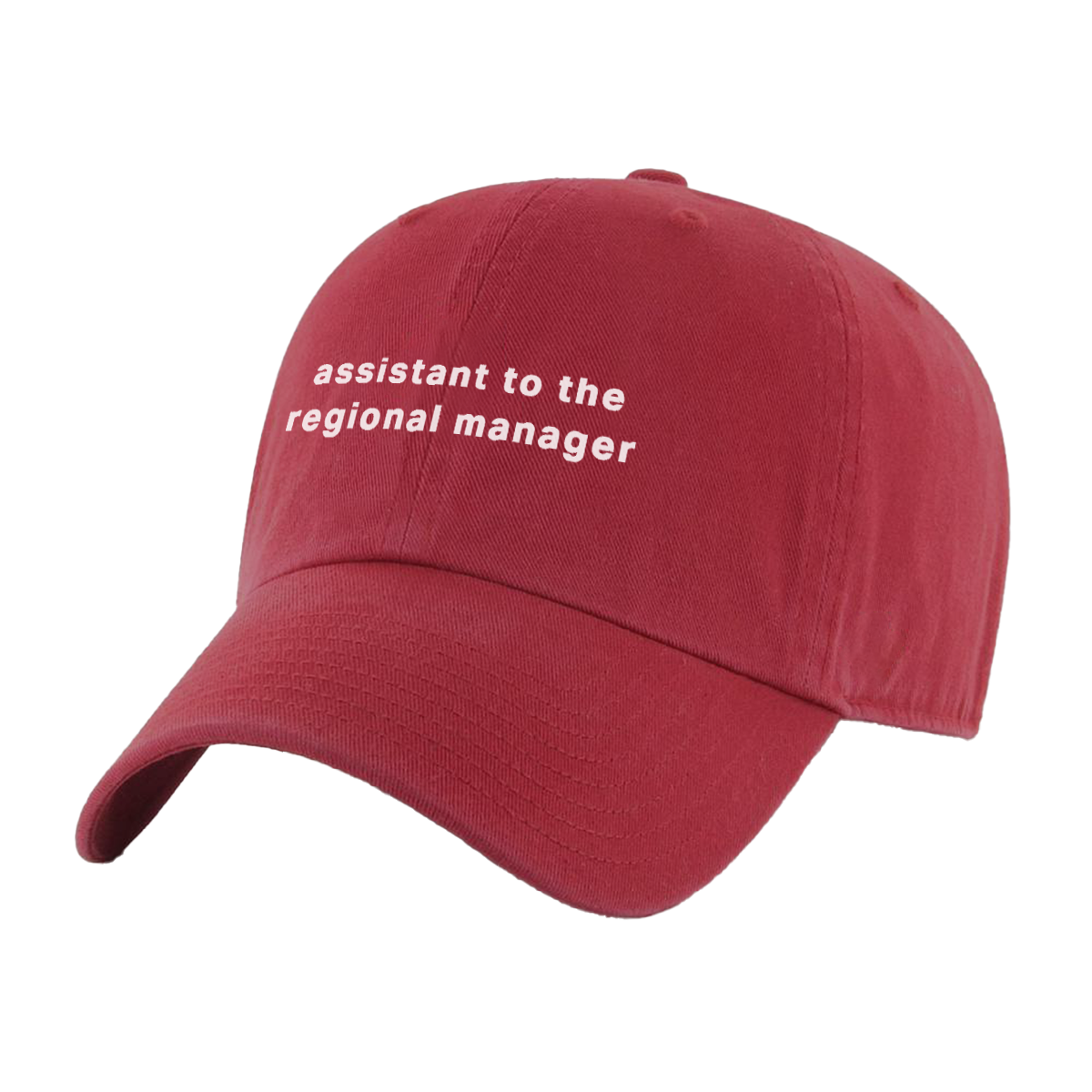 Funny Office Hats | Assistant To The Regional Manager Hat Funny Office Hats | Assistant To The Regional Manager Hat